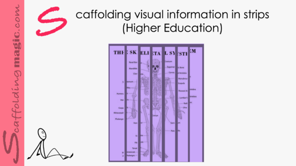 Scaffolding Visual Information in Strips (Higher Education)