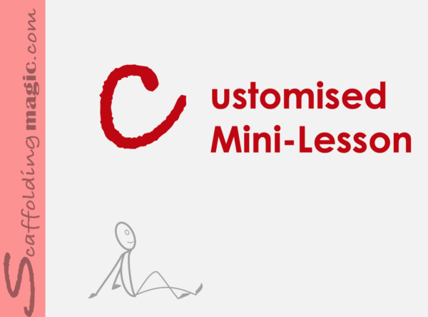 customised mini-lesson