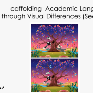 Scaffolding Academic Language by Identifying Visual Differences (Secondary)